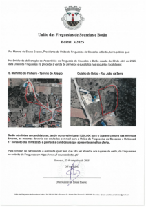 Venda de Pinheiros e Eucaliptos