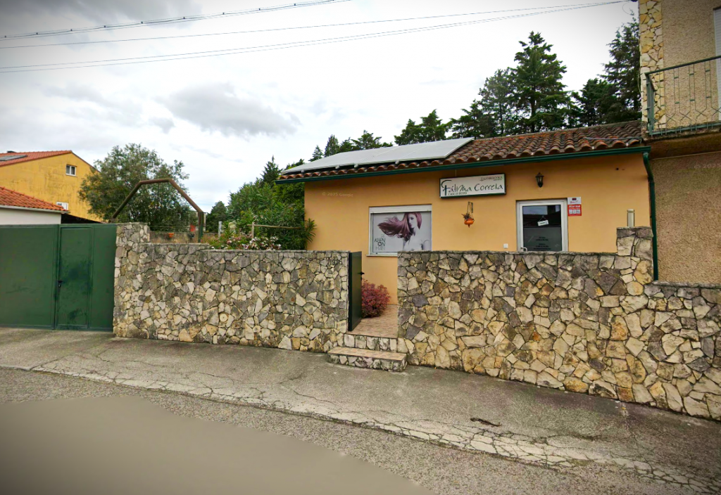 F&aacute;tima Correia