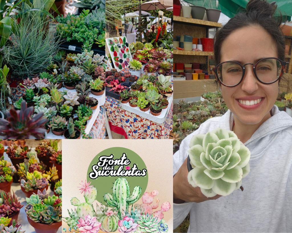 Fonte das Suculentas