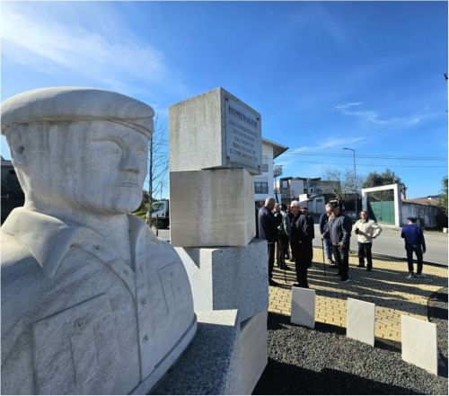 Coloca&ccedil;&atilde;o de &aacute;rvores "Liquidambares", na Pra&ccedil;a dos Combatentes